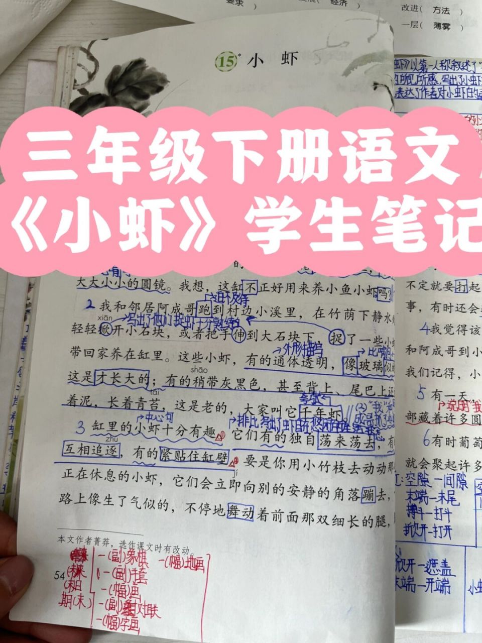 三下语文《小虾》学生笔记 #小学语文# #三年级语文# #小学语文课堂