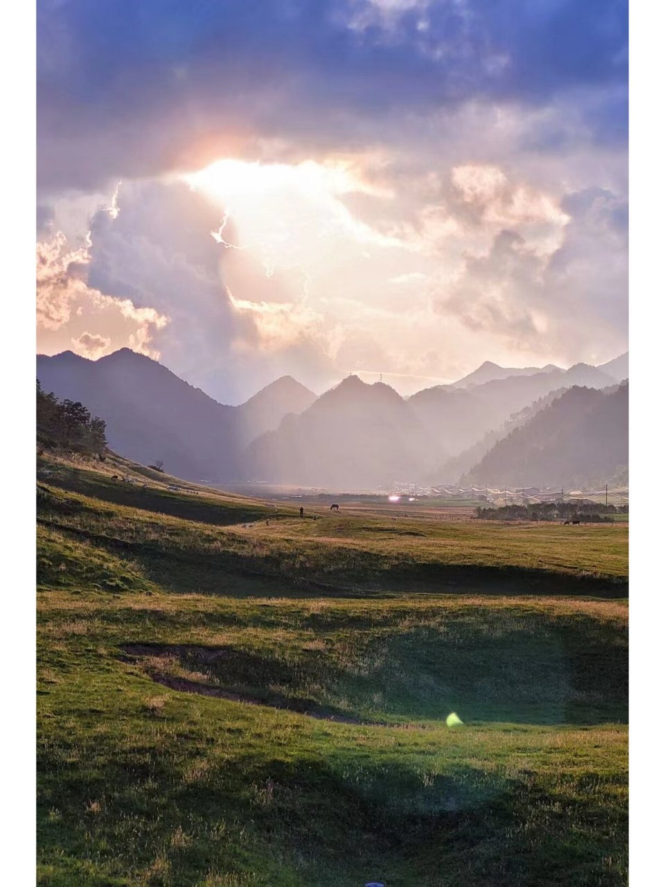 红池坝|中国南方最大的高山草场 60里纵深的红池坝 海拔在1800km-2630