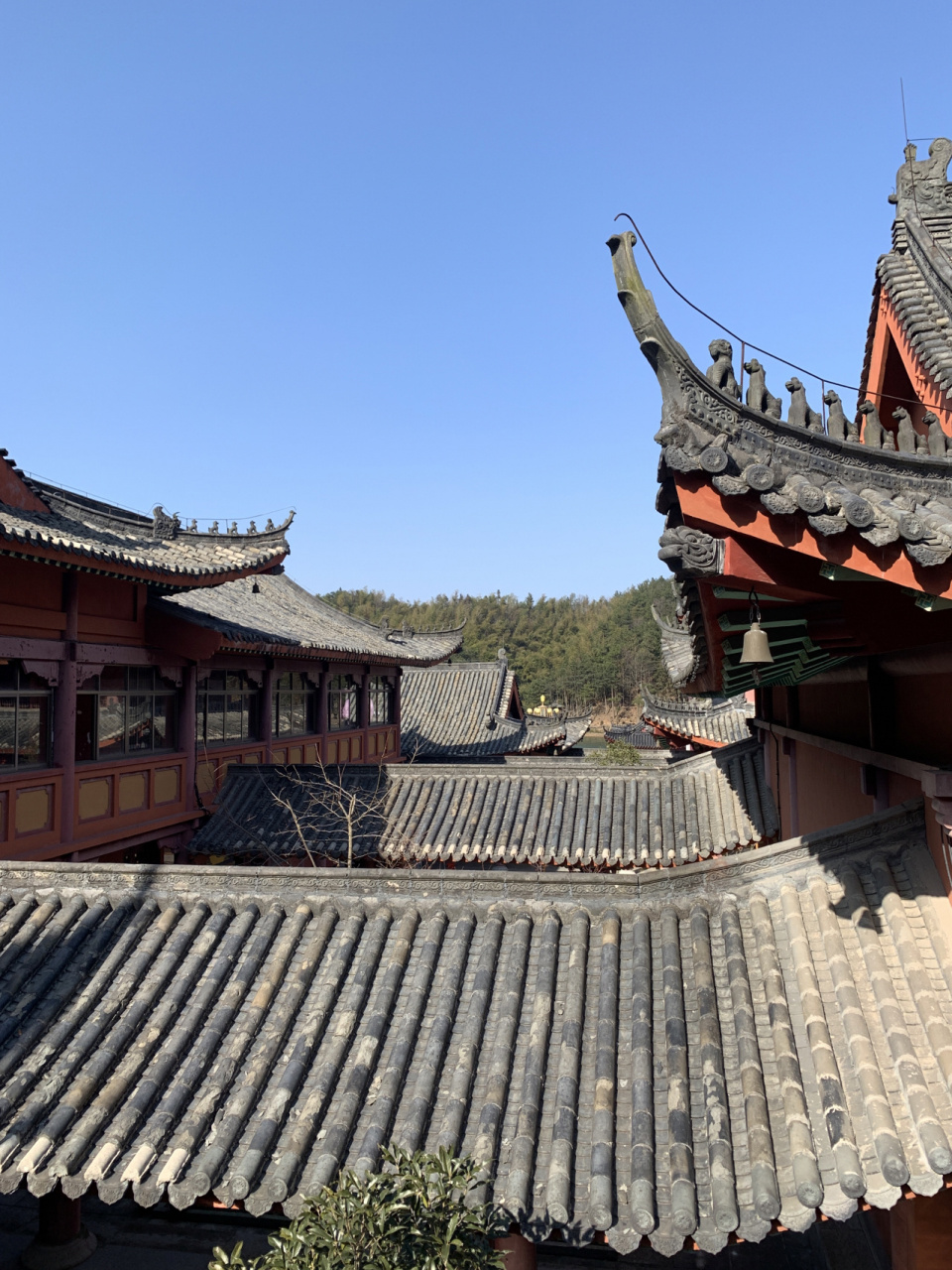 黄梅旅行必打卡 四祖寺,老祖寺,挪步园