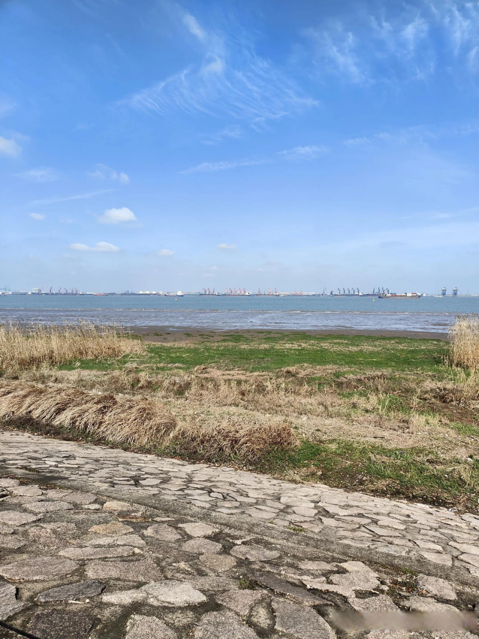 张家港双山岛是长江中下游原始岛之一,是长江三鲜的主要产地.