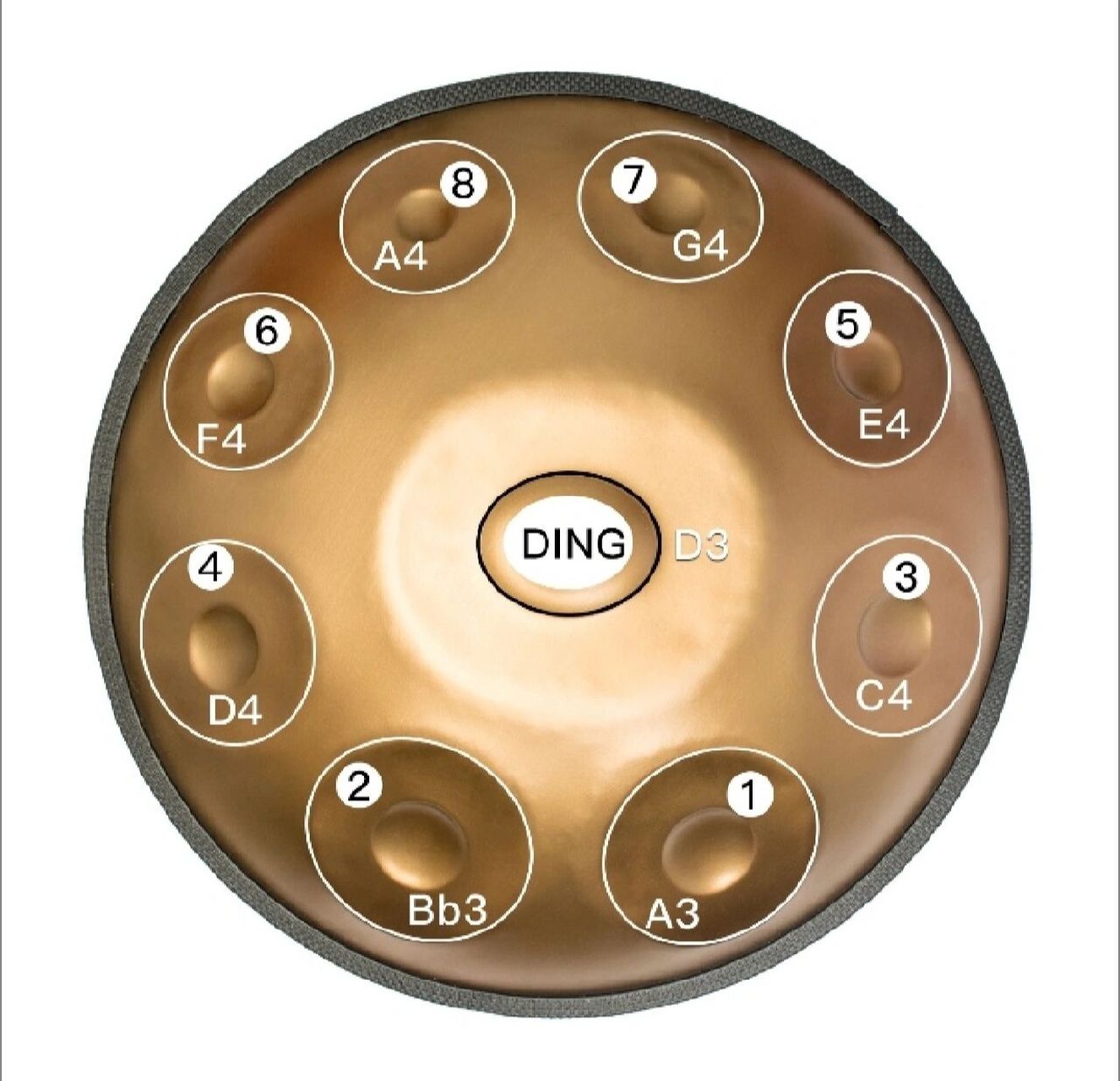 96手碟音阶图上的数字71 具体音名与简谱对应关系见上图,供参考