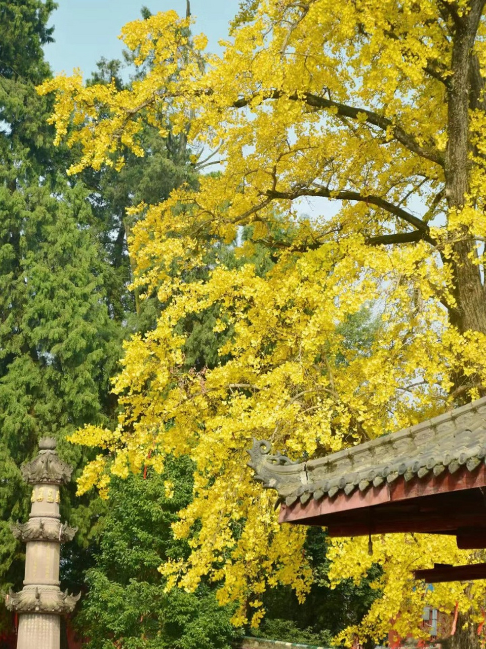 成都自驾一日最佳景点图片