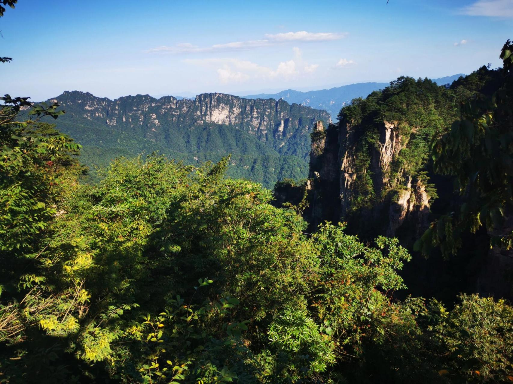 贺龙公园,云青岩观景台,西海峰林,上千座山峰矗立在眼前,感叹大自然