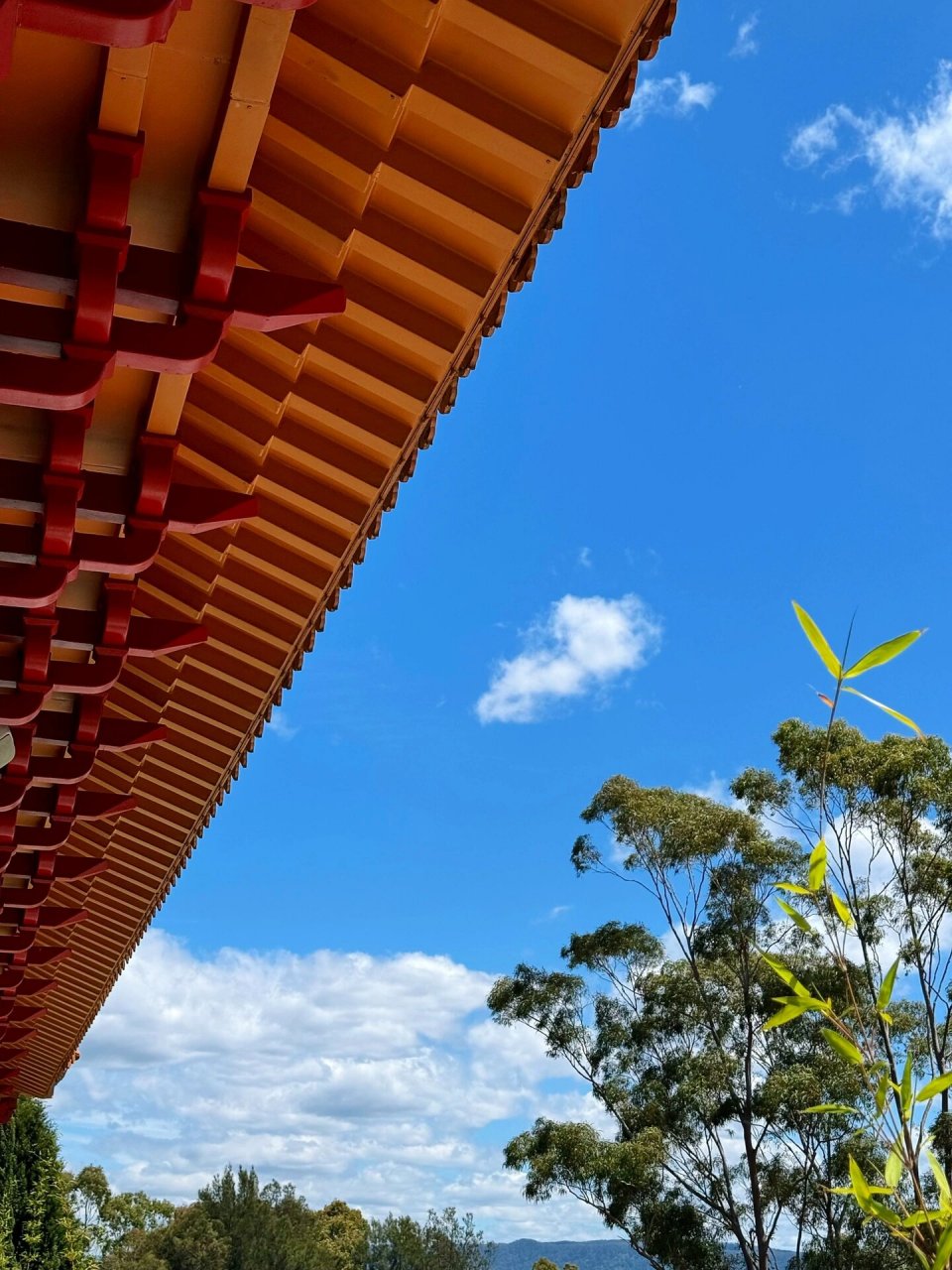南半球最大佛寺 南天寺92 南天寺位于悉尼隔壁的卧龙岗 	 在central