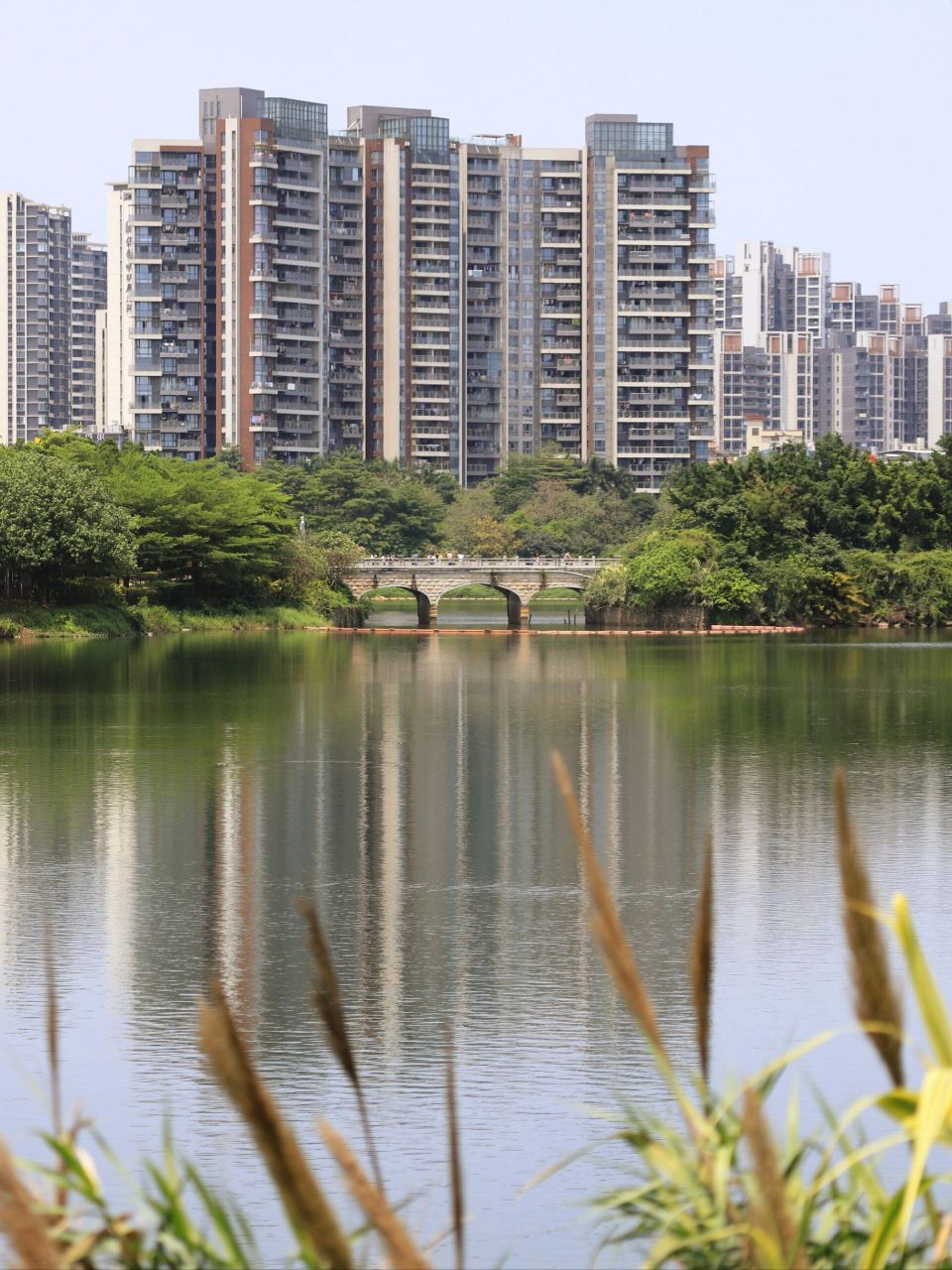 广东花都湖国家湿地公园 地点:广州市花都区新华路104号广东花都湖