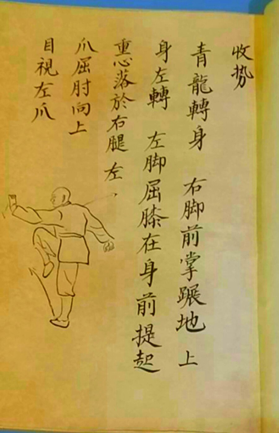 武功古籍《少林龙爪手》 张无忌10分钟学会了,红书号bwzh88