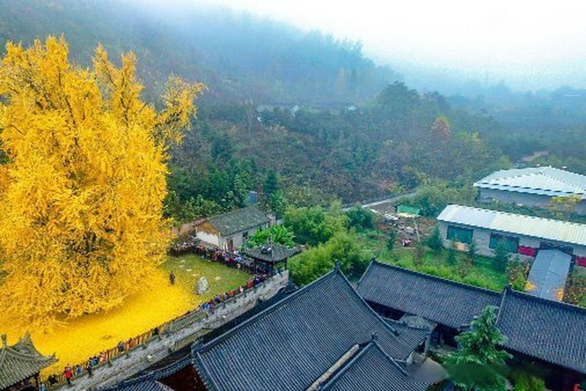 随州周边游旅游景点图片