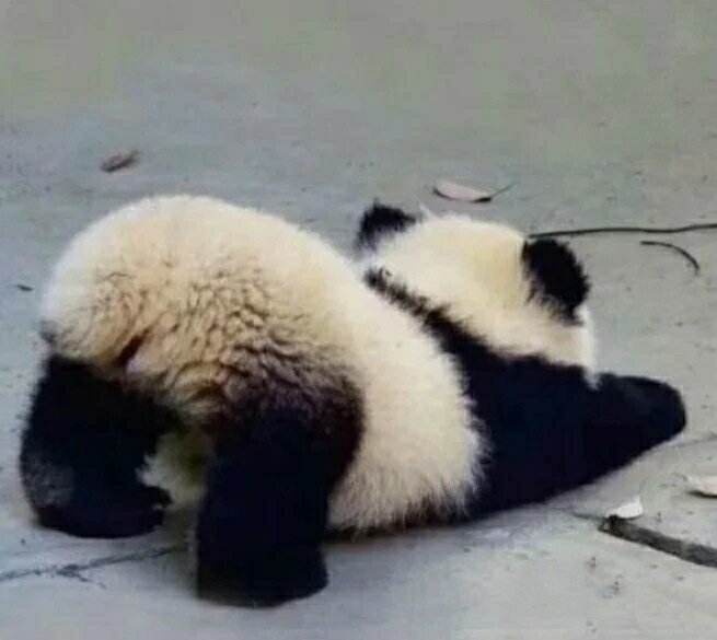 为什么检测要捅菊花,我哭的好大声 这不是要过年了所以今天就回家了