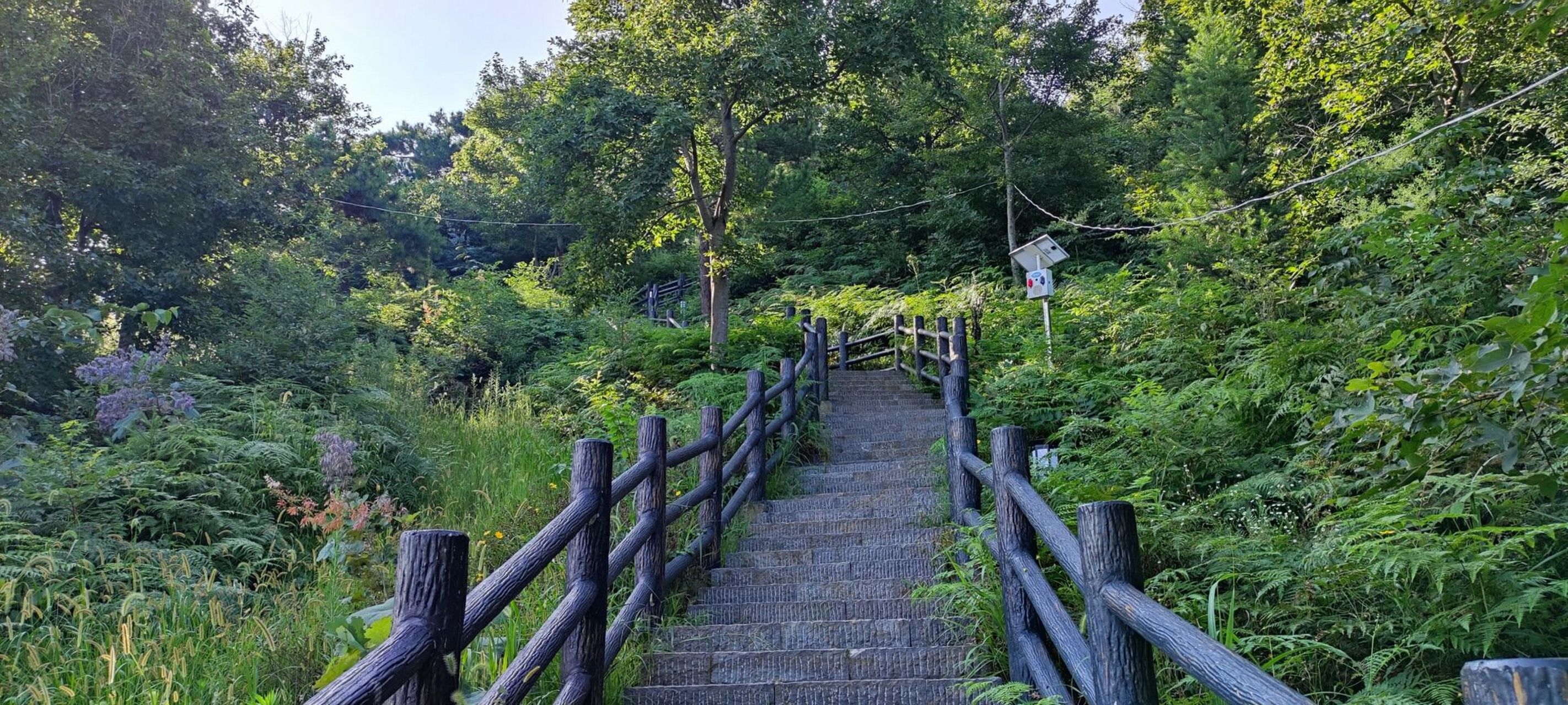 12看风景之无为三公山(铜陵,芜湖) 8.11晚9点,从常州出发.