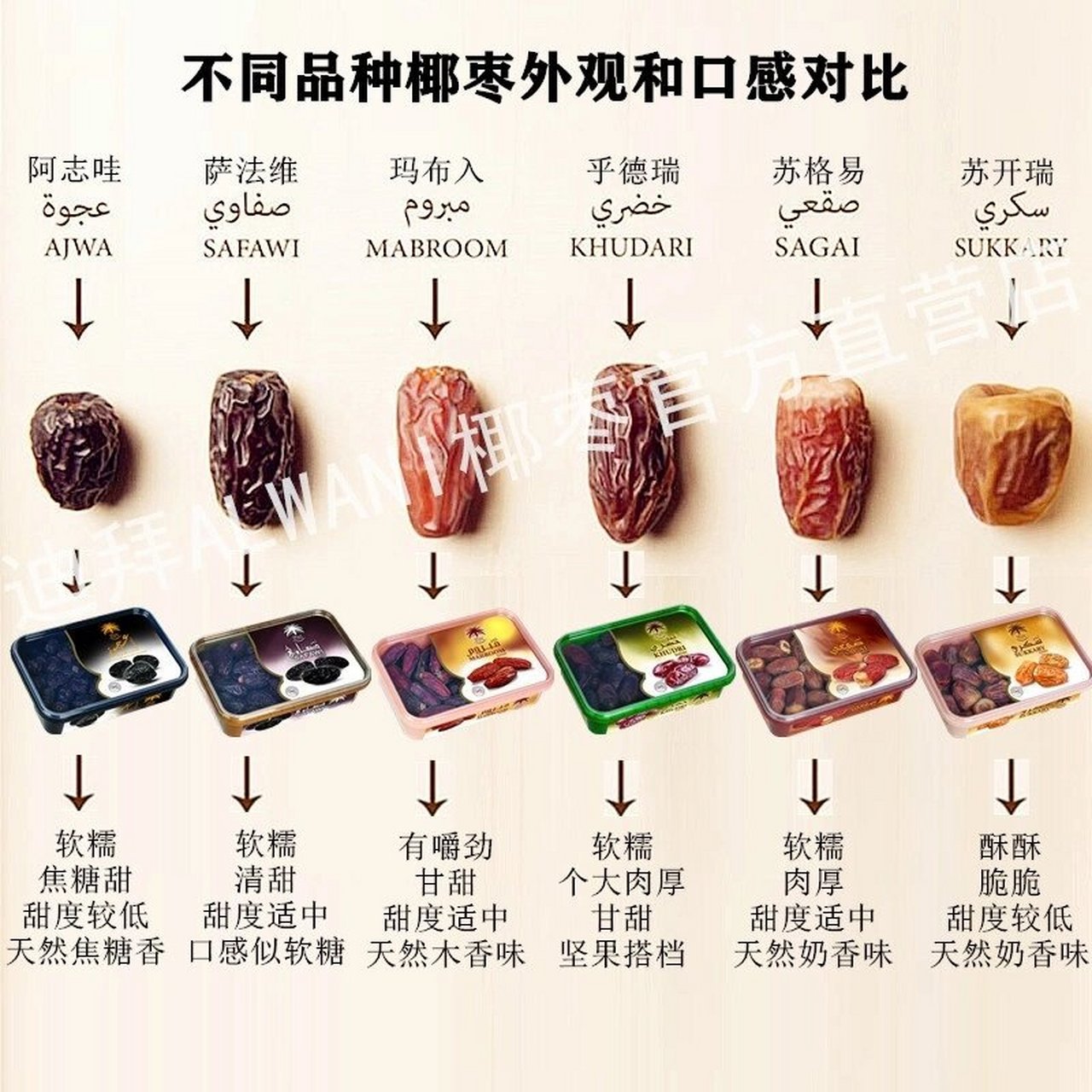 椰枣的分类 中东特产#沙特阿拉伯
