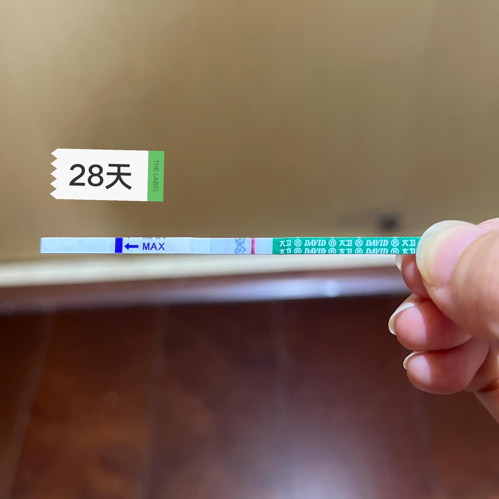 怀孕多少天可以测出双杠?