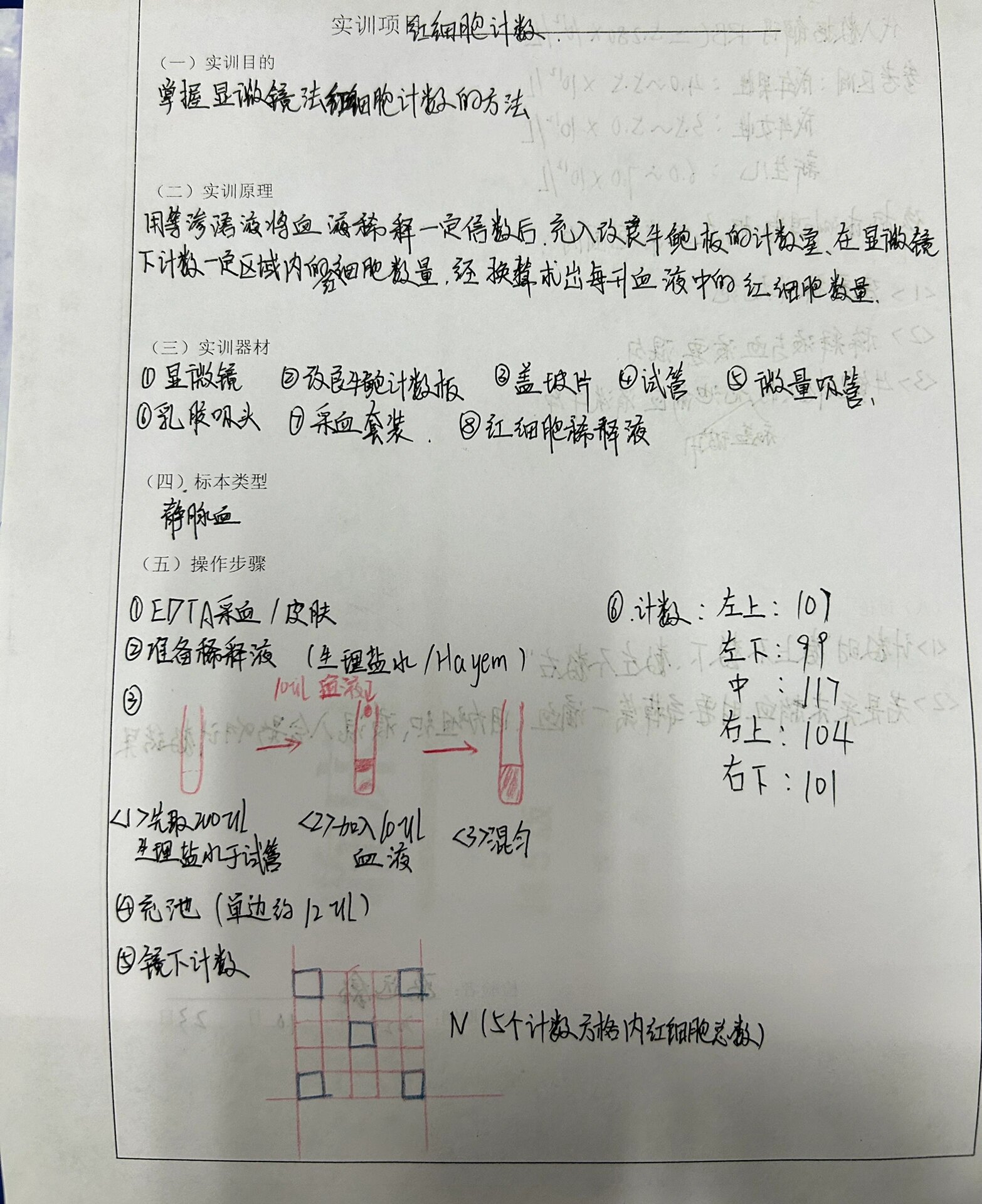 尿沉渣红细胞计数图片