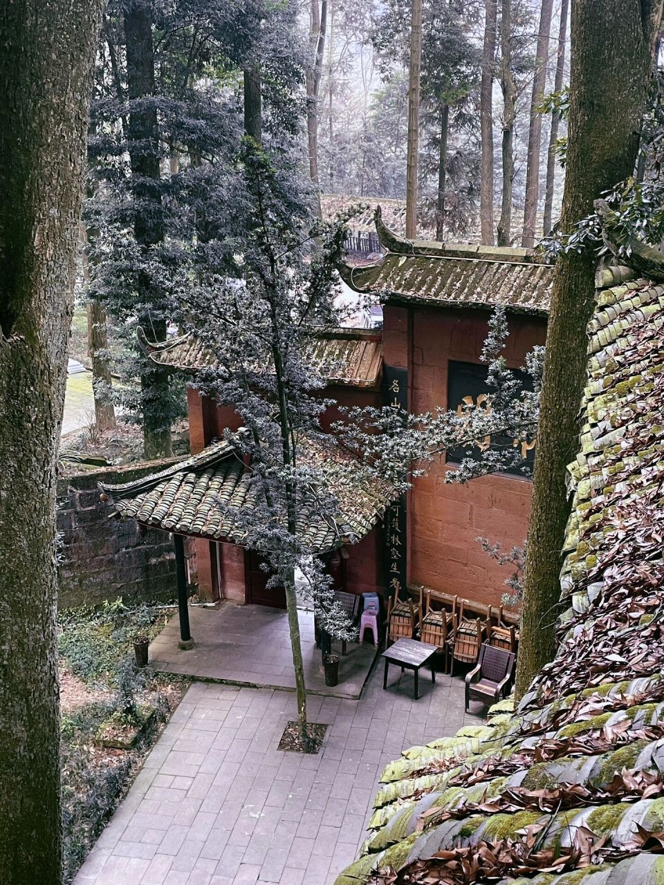 成都周边|去青城山道观里住的年轻人 91青城山的【圆明宫】道观很