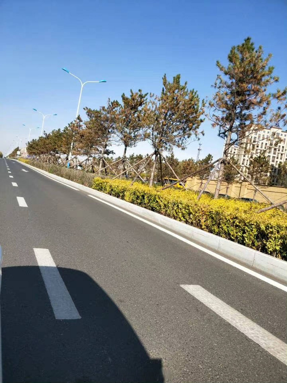镜头里的宽城#北人民大街是近年新规划的一条北部主干道,北起北环城