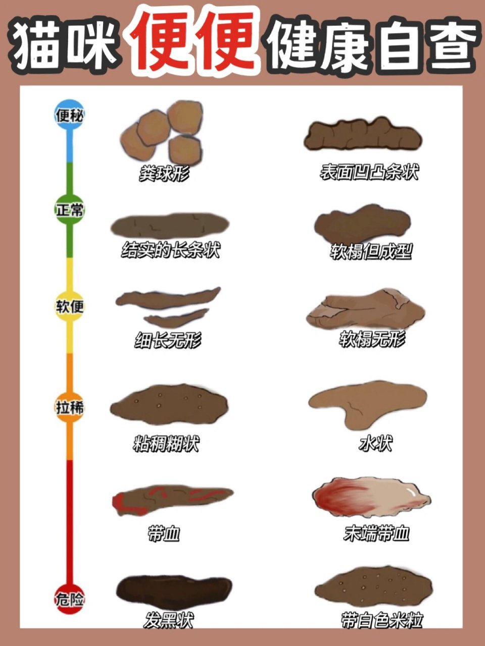 从便便判断猫咪健康情况i新手养猫看过来 猫咪的排便情况和扁扁的形状