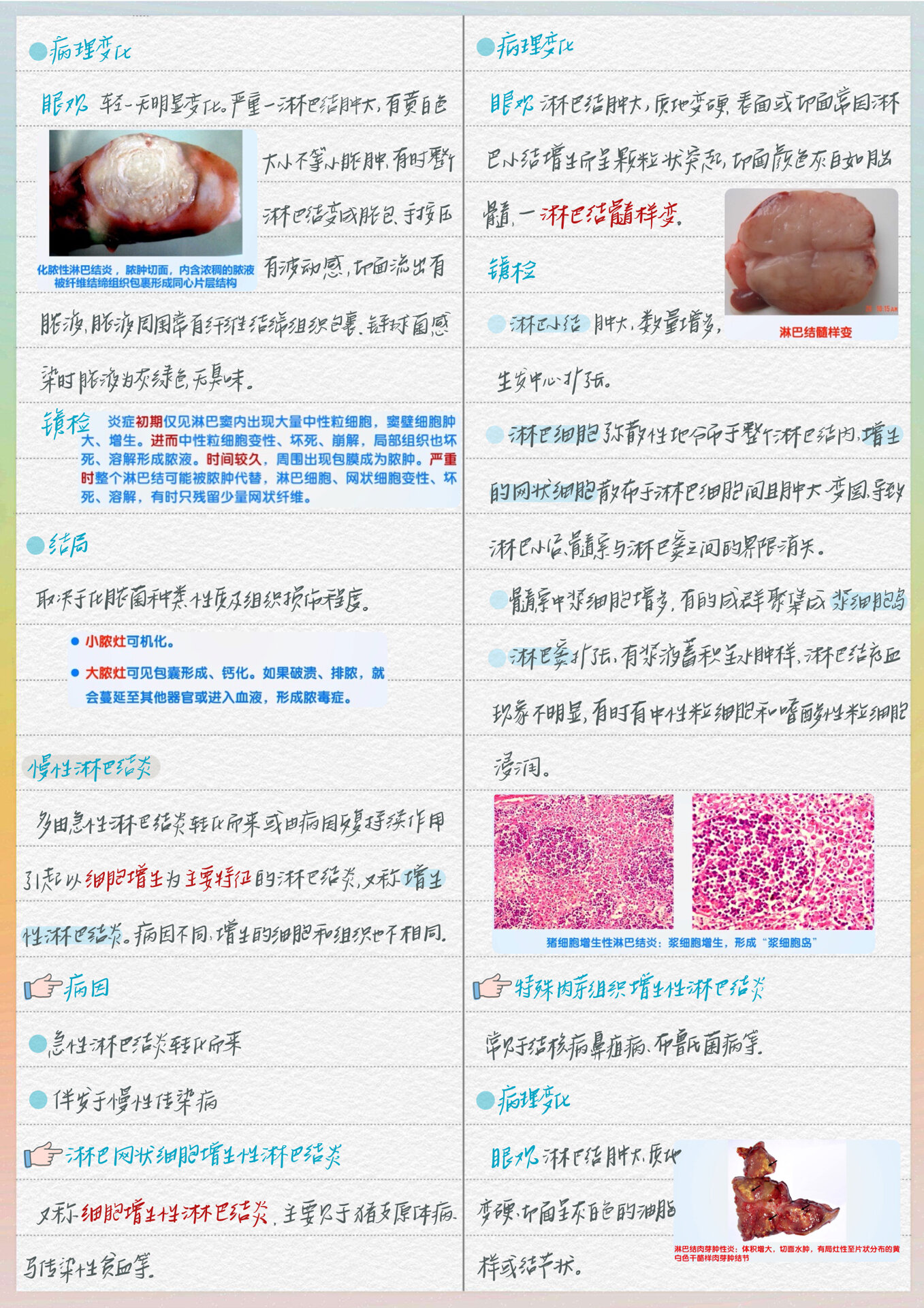 浆液性炎症图片