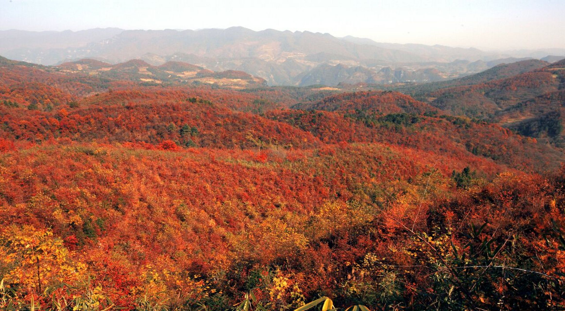 空山天盆国家aaaa级旅游景区 景区位于通江县空山镇,平均海拔 1400 米