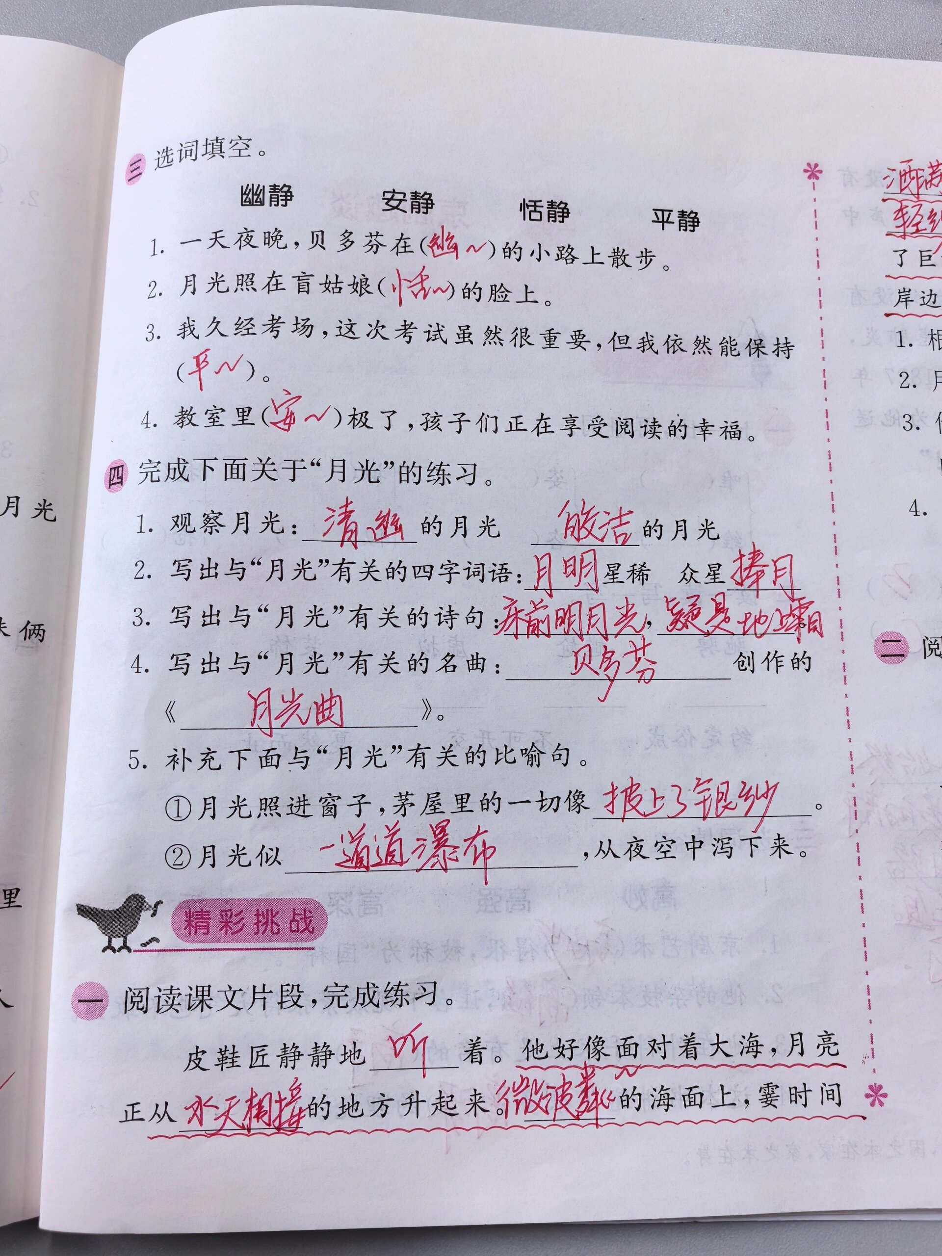 六上小学语文基础训练|23《月光曲》