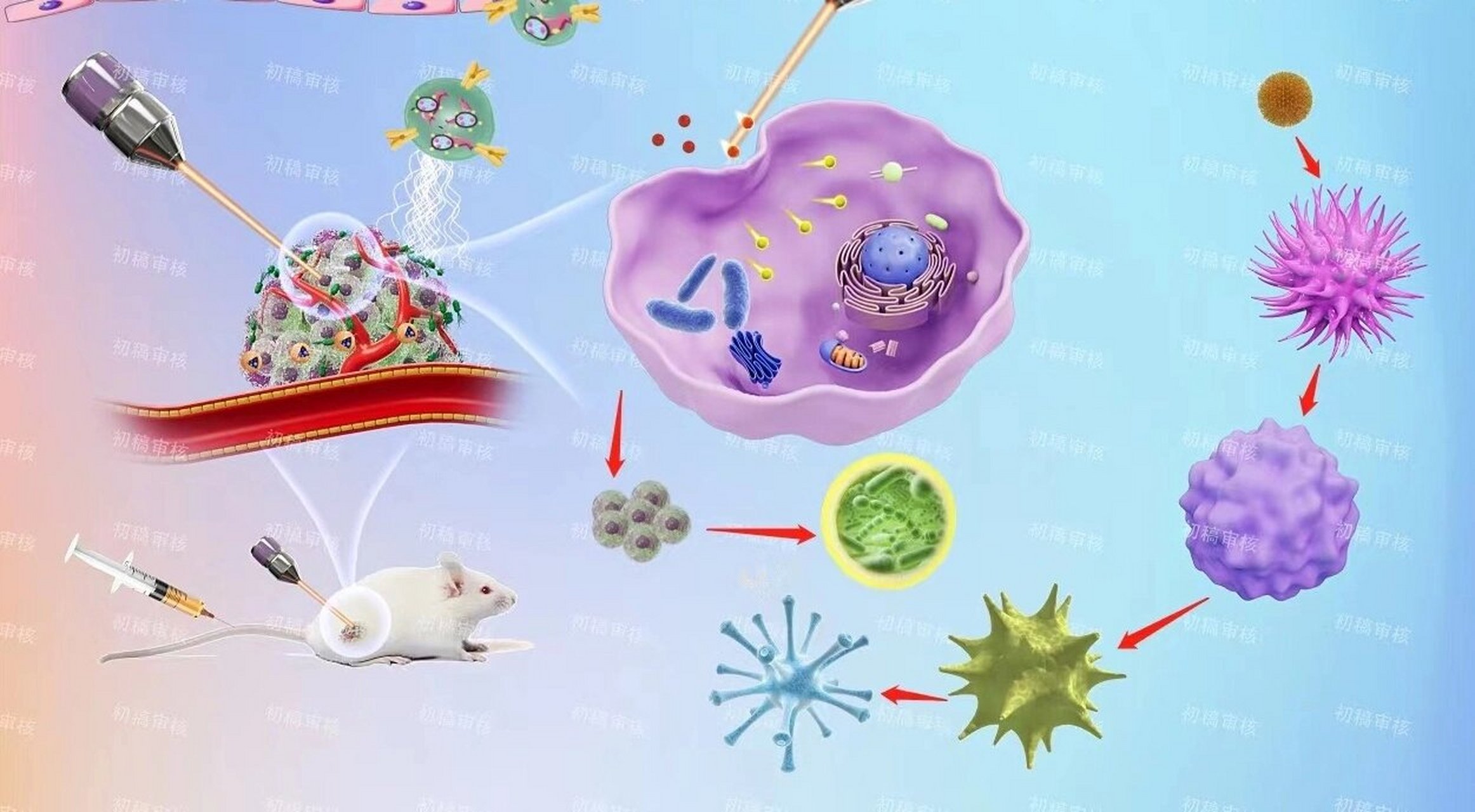 医学生ai科研绘图|快速掌握sci生物机制图 科研绘图心得分享6015