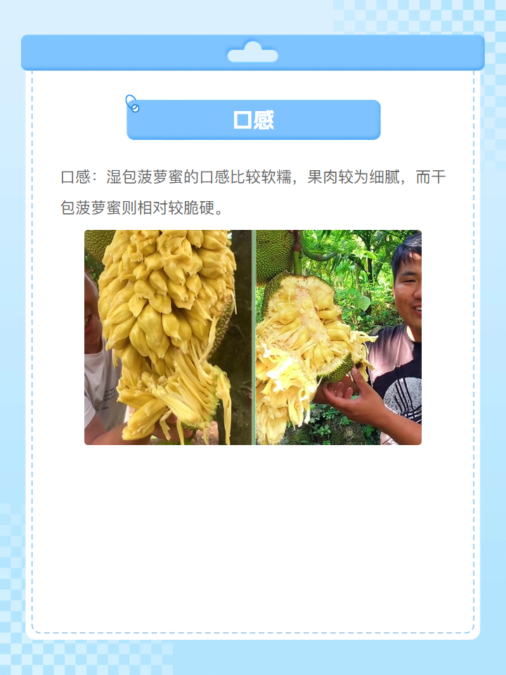 菠萝蜜湿包和干包区别