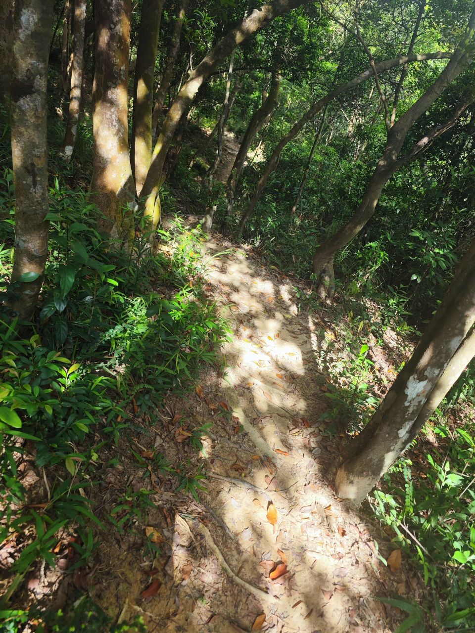 徒步看海秘境小三浪 78没想到在珠海看到了比东南亚还蓝的海域,高栏