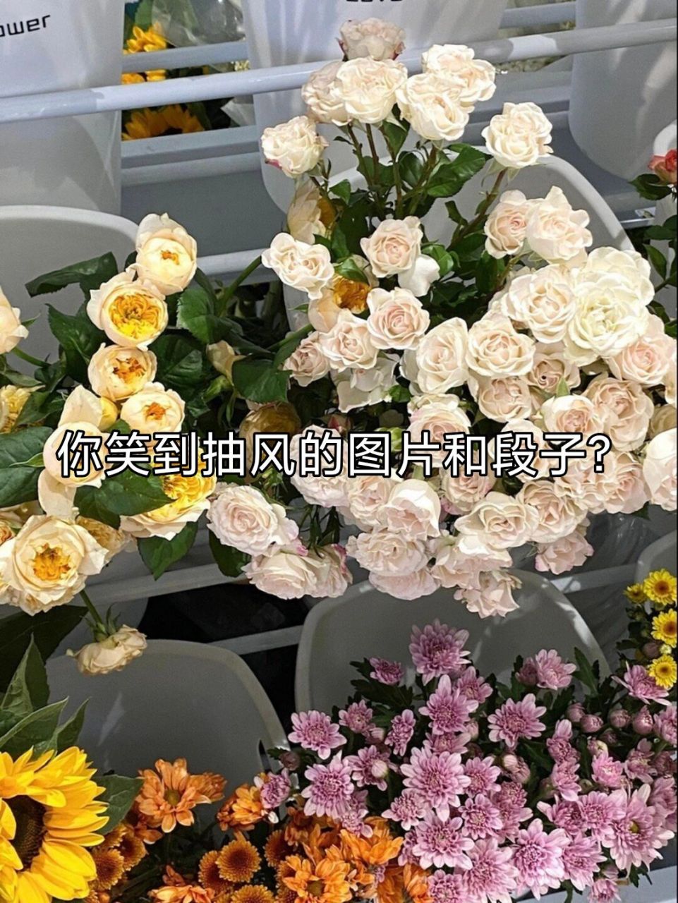 961_1280竖版 竖屏