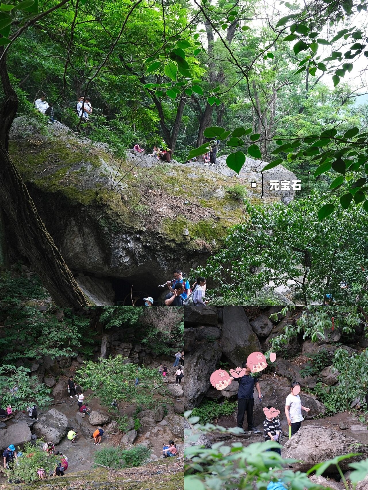 北京植物园元宝石图片