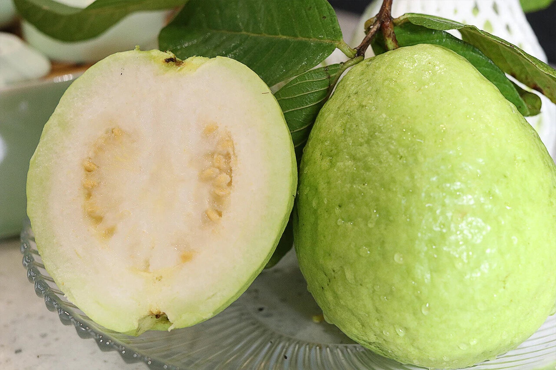 自家果园的番石榴 番石榴又名鸡屎果,花捻, 是南沙人茶余饭后都离不开