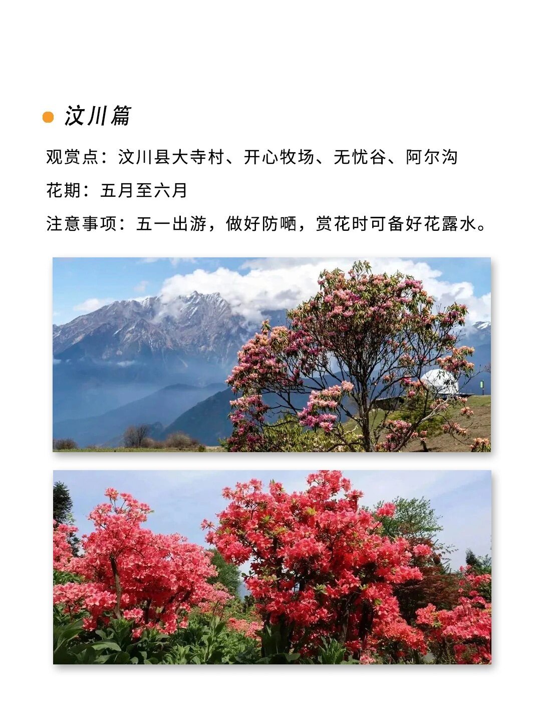 阿坝州羊角花赏花攻略