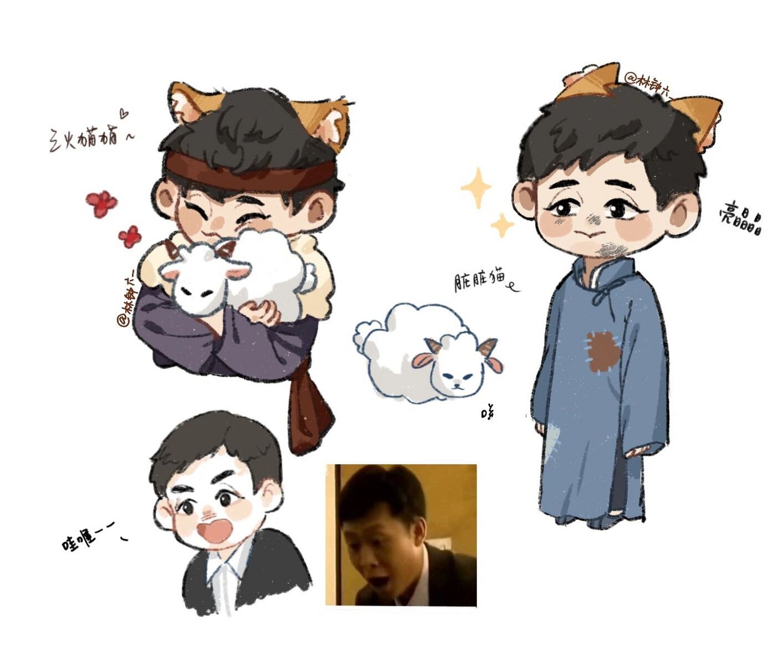 【张译】溅射一下不同的猫猫04