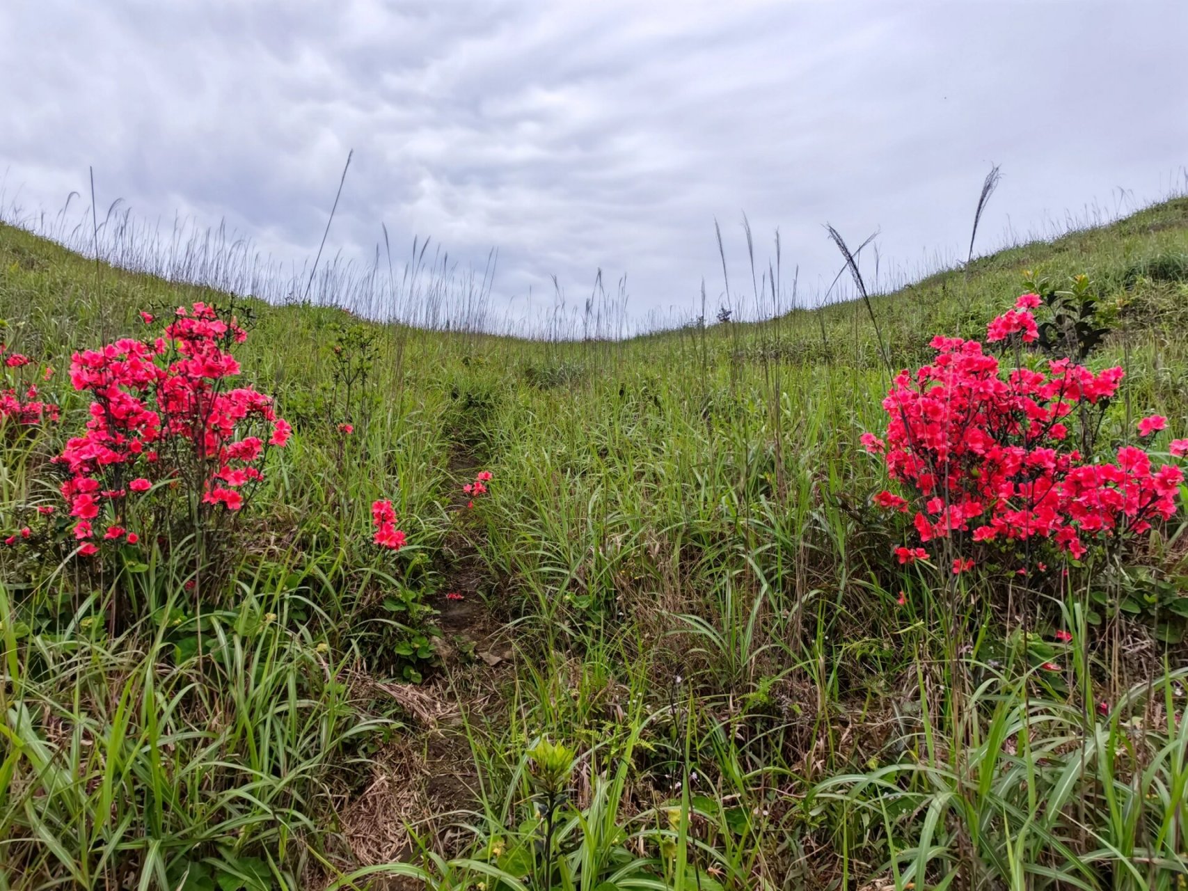 连州大东山,不愧是广东最仙气的徒步路线 "以蝼蚁之行,展鸿鹄之志.