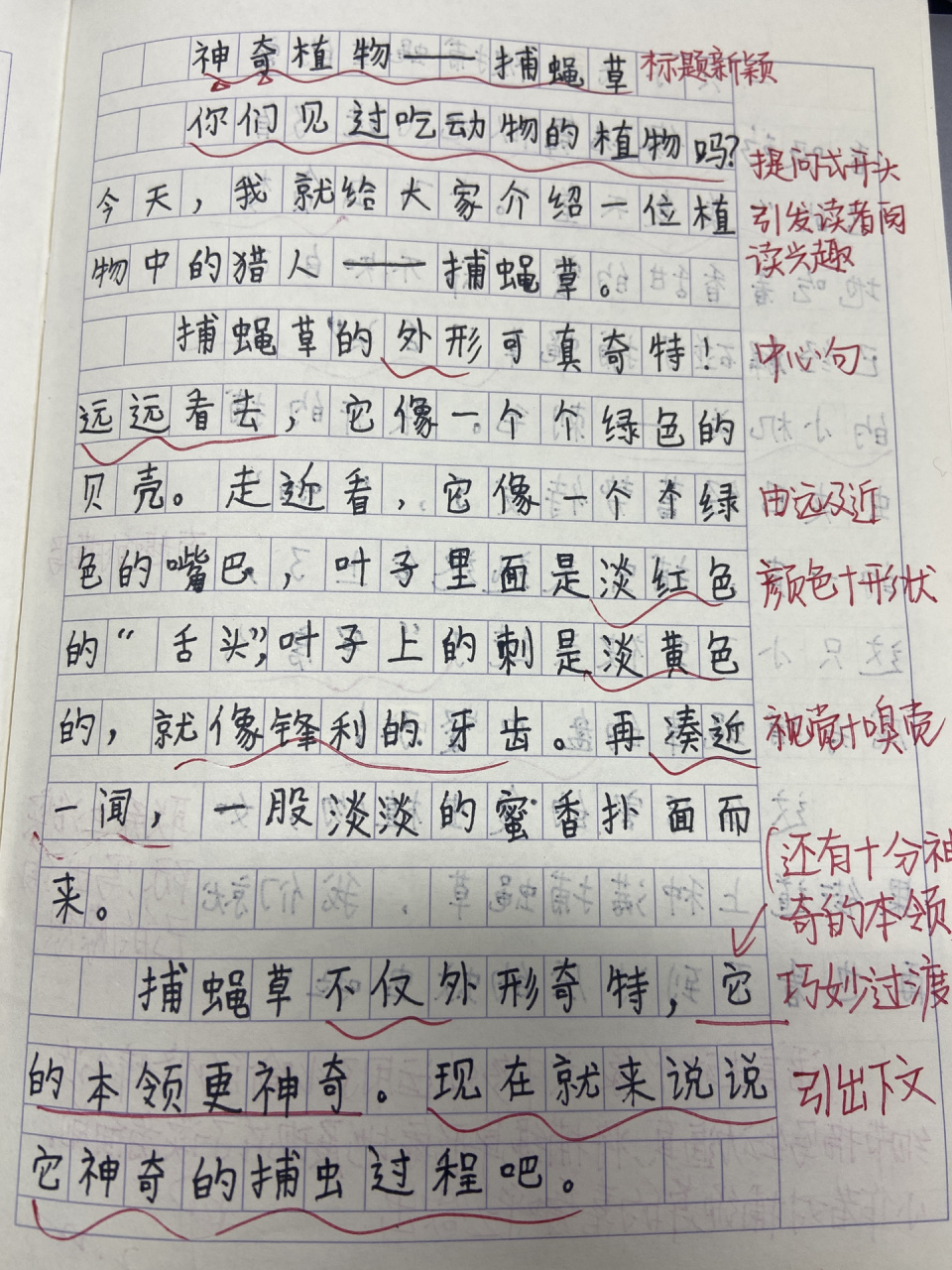 包含观察一种植物的作文400字有时间的词条