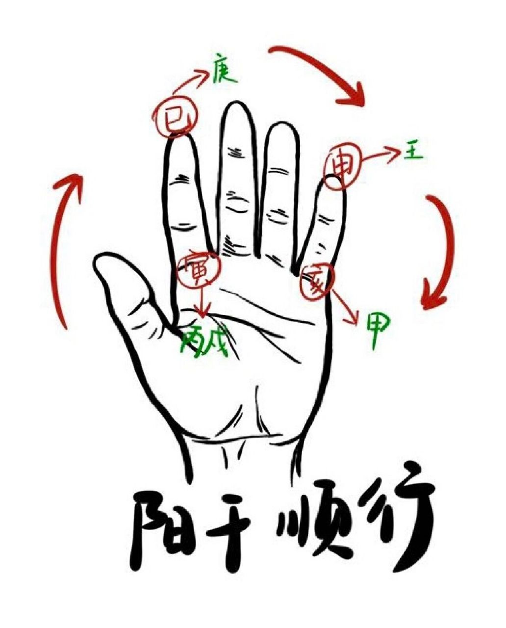 "十二长生"掌决 十二长生位也可以轻松在手掌上排出,现在就教大家一个