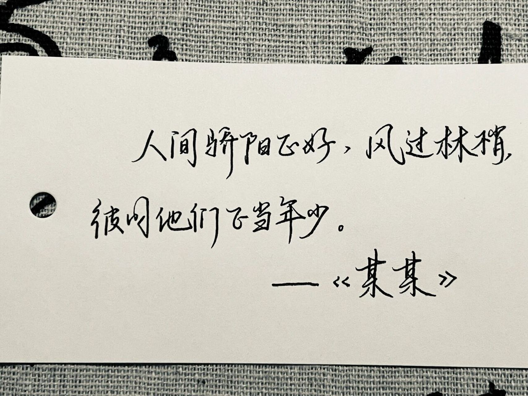 手写|某某96彼时他们正当年少 969696那个夏天的蝉鸣比哪一年