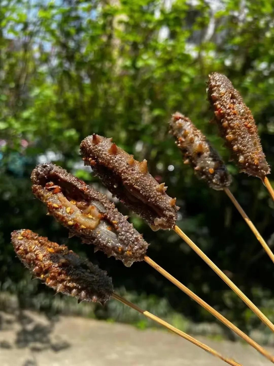 好多人为了迎合淄博烧烤热度也推出了烤海参,就是不知道这样烤出来