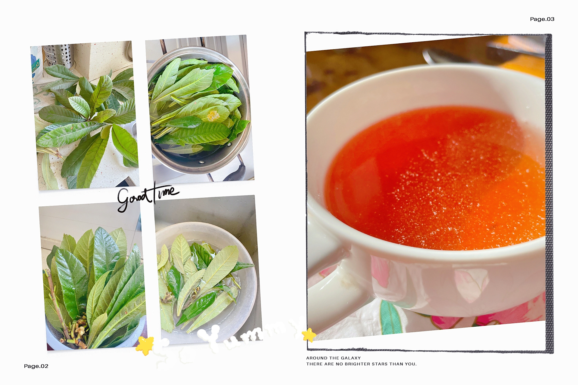 枇杷叶熬水 一窝91的第三天,今天开始咳嗽了,早早起来去小区栽了些