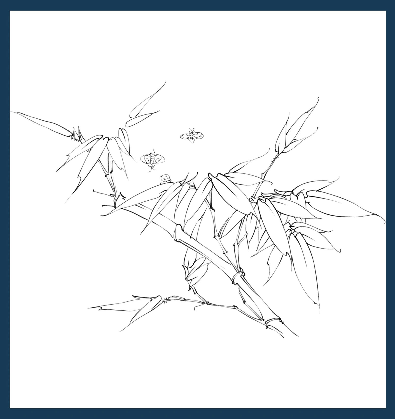 学习新国风插画第二天 | 竹子白描