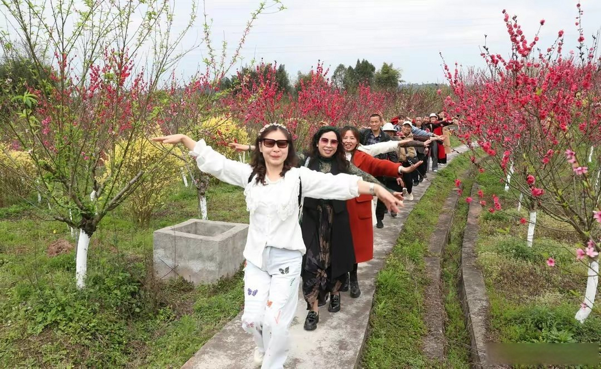 广安大地花谷门票图片