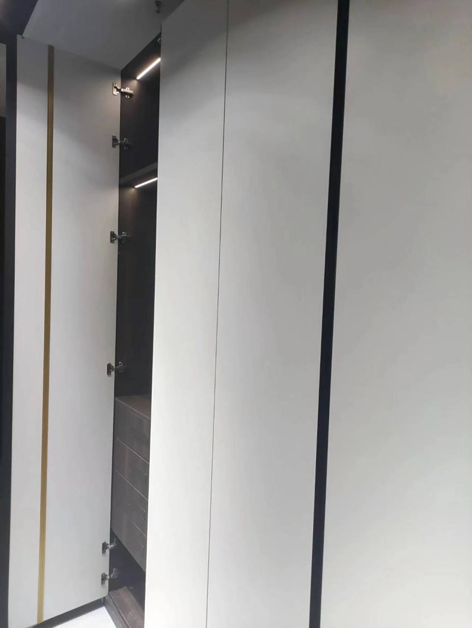 全屋定制|衣柜拉直器详解9215 全屋定制衣柜拉直器详情介绍93