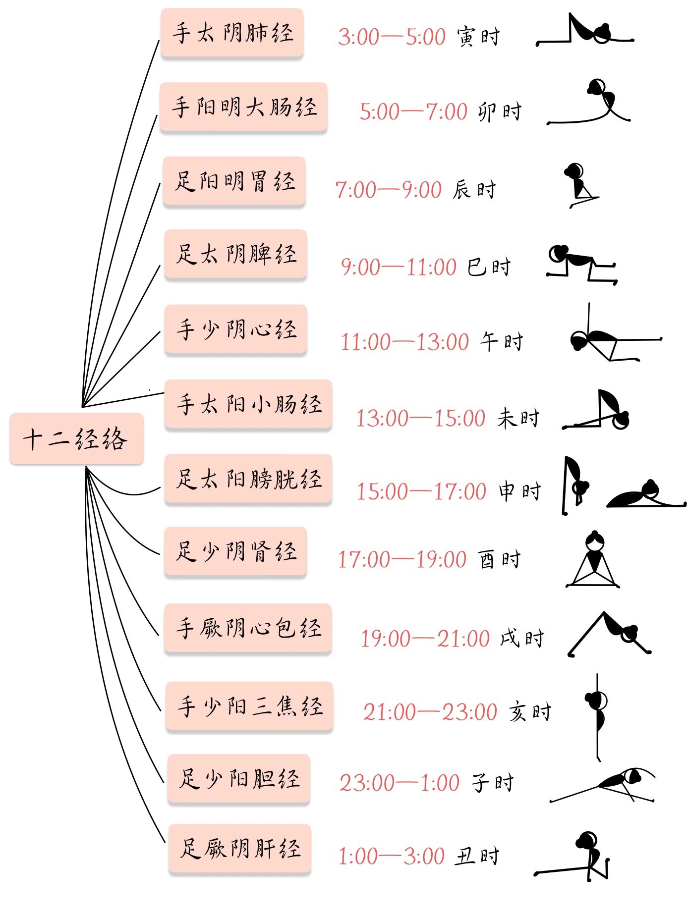 阴瑜伽笔记|轻松看懂十二经络及对应体式