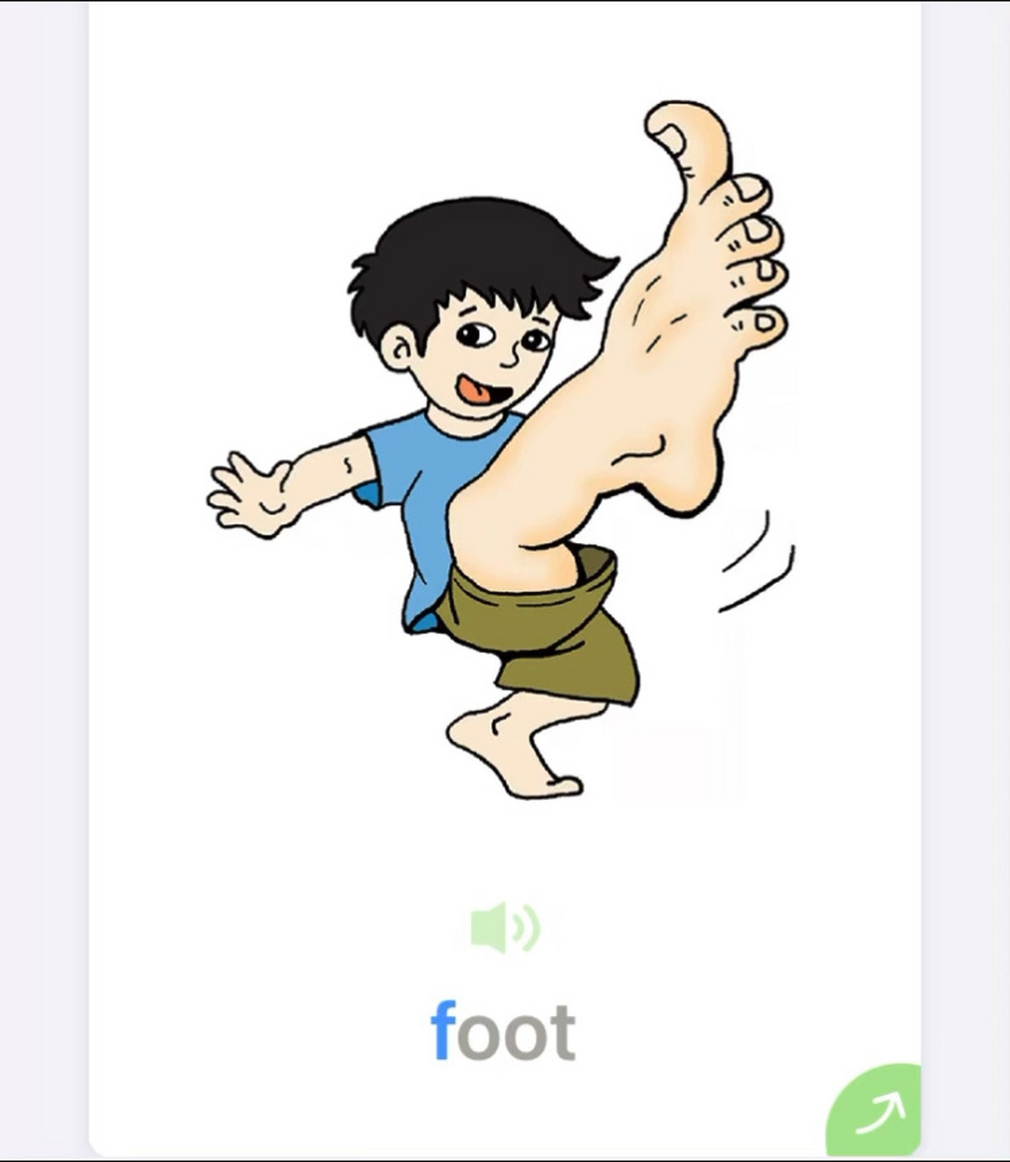 foot 拼读视频