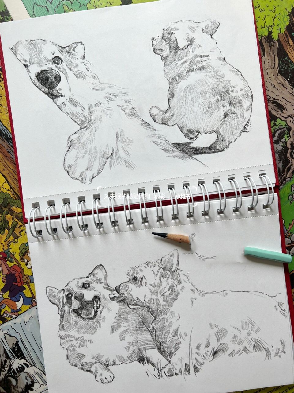 速写修狗狗|应大家要求继续摸鱼 柯基宝宝的主人们老实交代,是不是