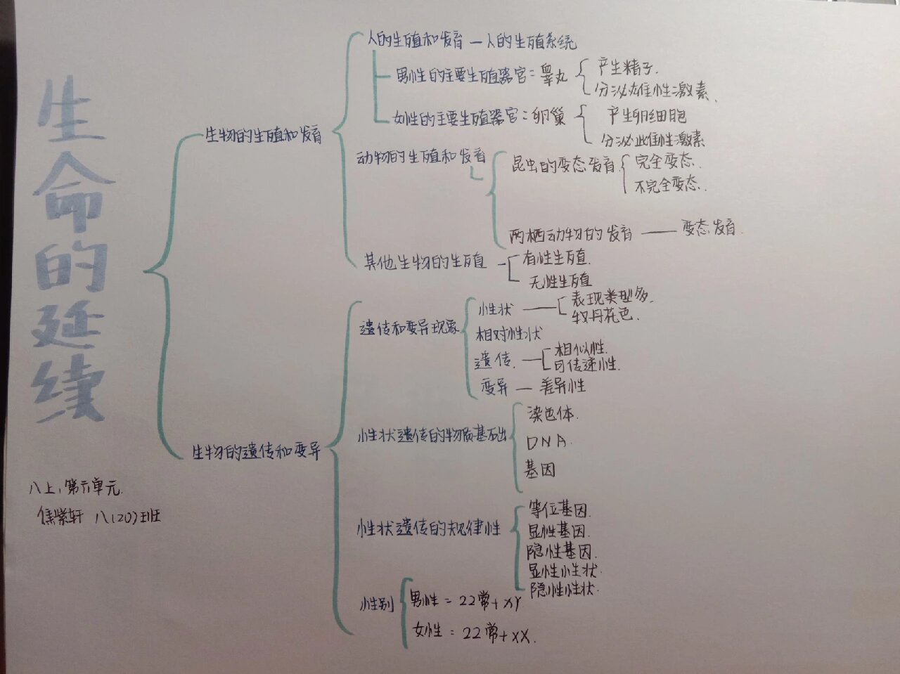 八上第六单元生物思维导图北师大版 生命的延续