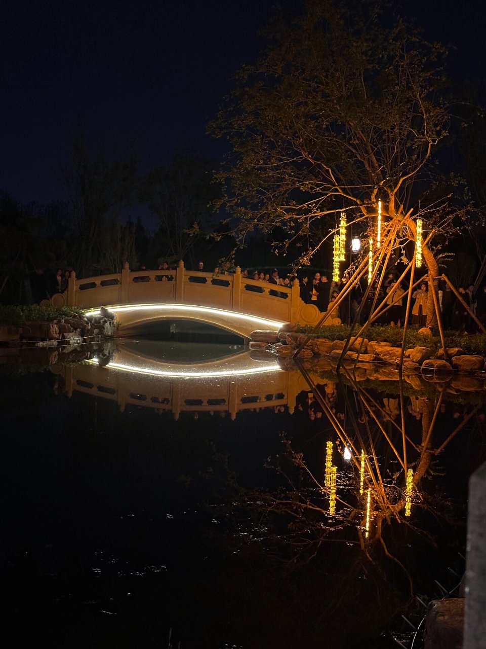 焦作小江南夜景太美了吧! 焦作新盆景公园! 美得很!就是人太多!