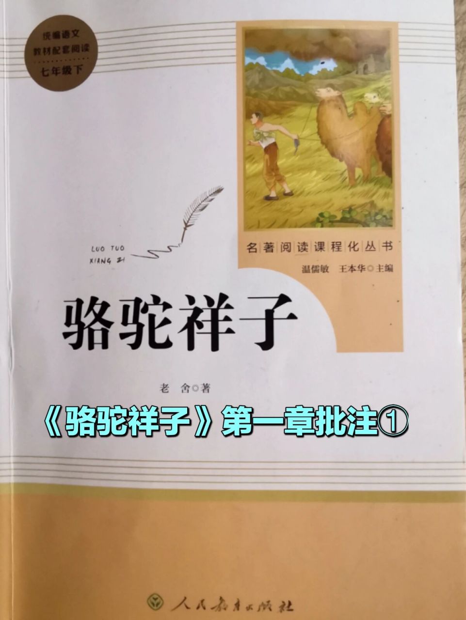 《骆驼祥子》第一章批注 并非原创,在原创的基础上加以修改.