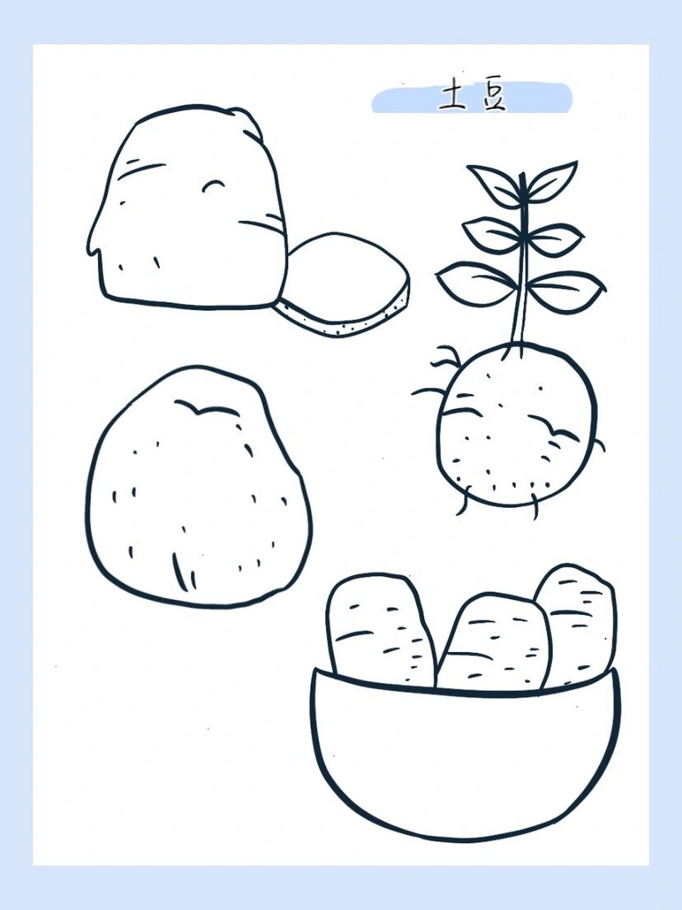 简笔画|土豆95/100 080808 最爱的马铃薯来了