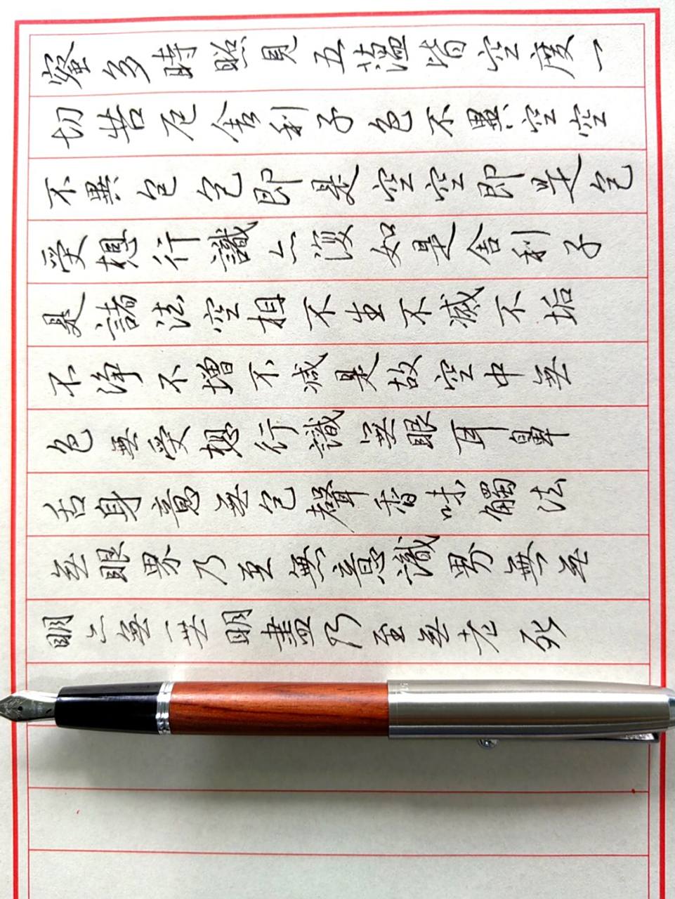 临圣教序32 美工笔书写#我的书法分享# #硬笔书法# #钢笔# #圣教序