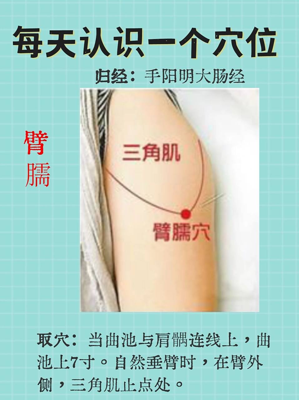 每天认识一个穴位-臂臑