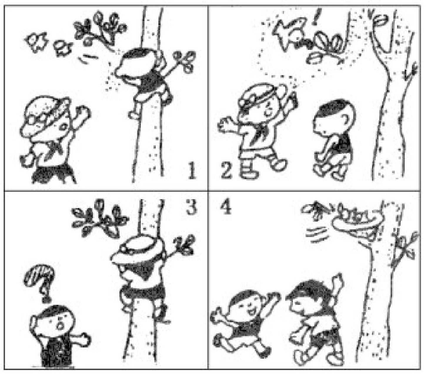 看图写话 帽子鸟窝 星期天的早晨,阳光灿烂,绿树成荫,小天在公园里玩.