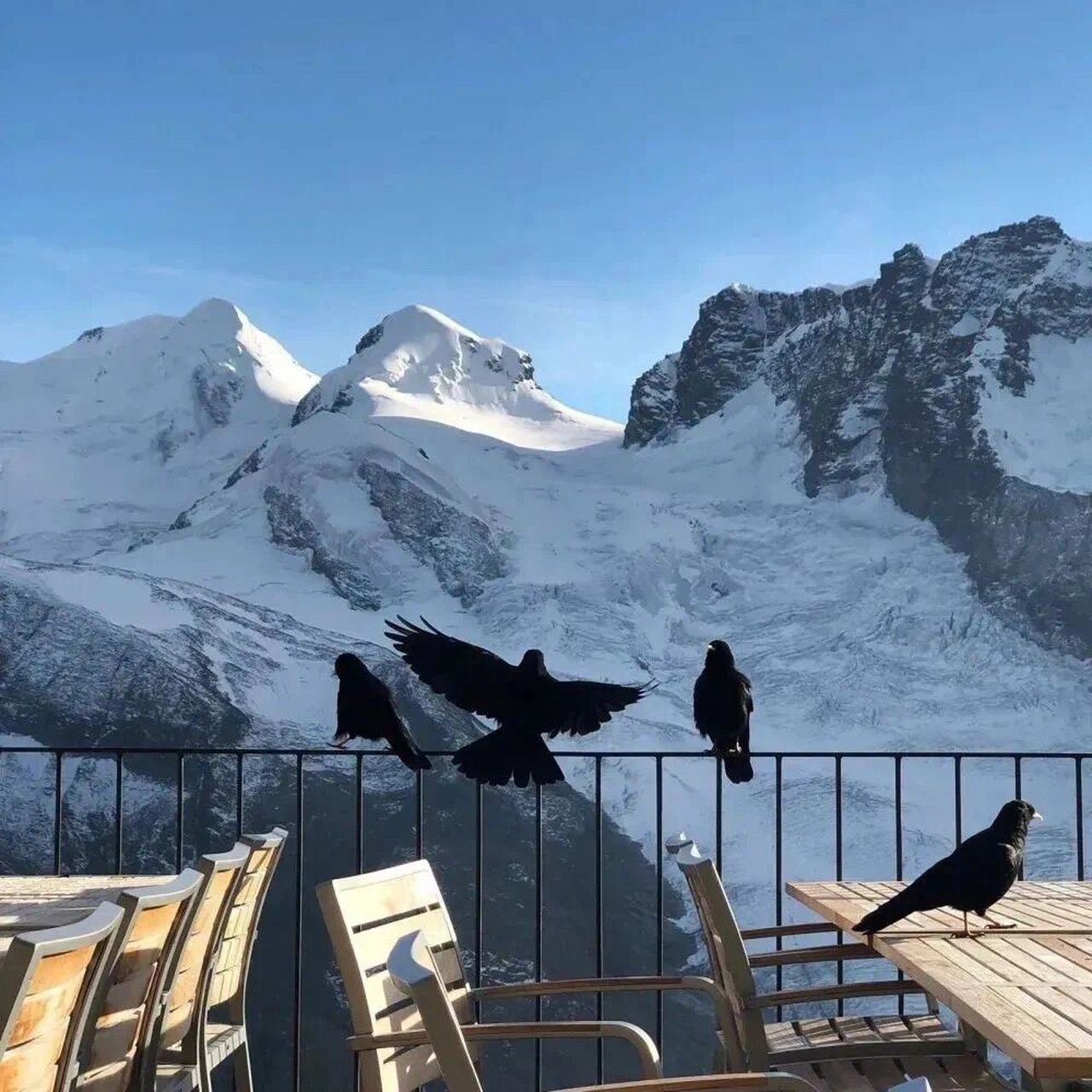 高级感朋友圈背景图封面 我才不是天真无知的少女 我心知肚明那些套路